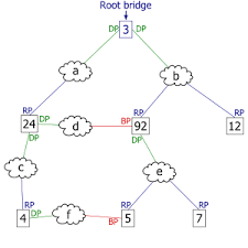 Spanning Tree Protocol (STP)