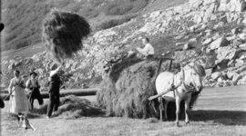 Timeline: Demokratiseringen av Norge