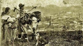 Timeline: Colonizacion Antioqueña