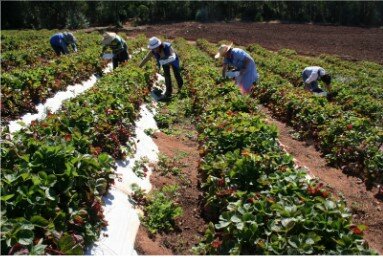 nuevo tipo de sociedad en el oriente