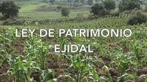 Ley de Patrimonio Ejidal