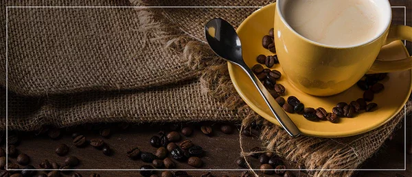 primeras décadas del siglo XX