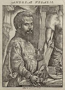 Vesalius