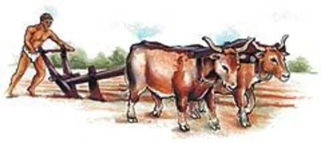 El arado (Prehistoria)