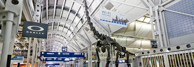 HARD WORKING- FIRST JOB