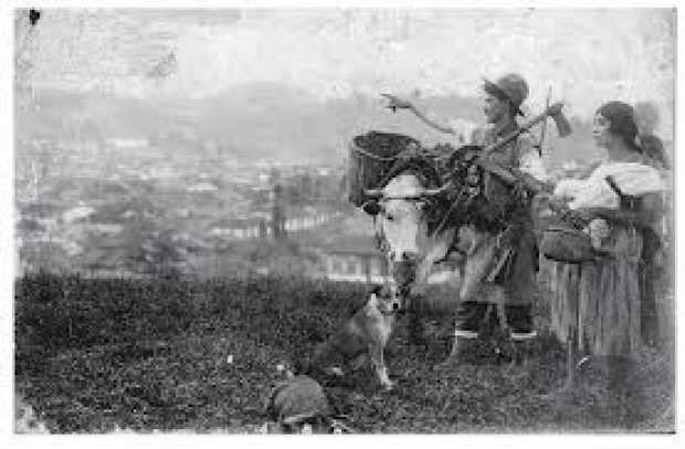 Finalización de la colonización de esta zona