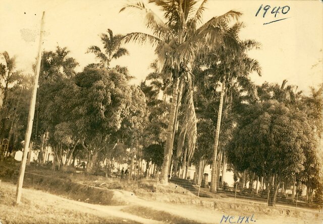 Colonización Valle del Cauca