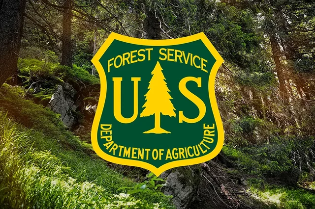 U.S. forest Service founded*