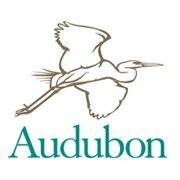 Audubon Society founded*