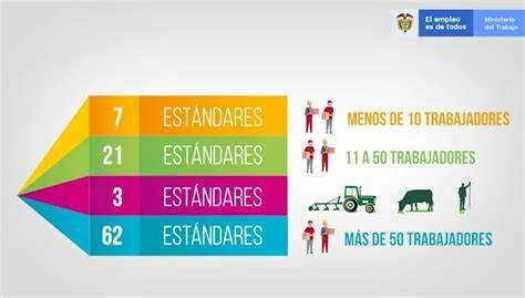 Resolución 0312 de 2019