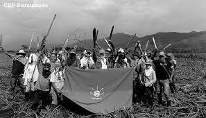 Consejo Regional Indígena