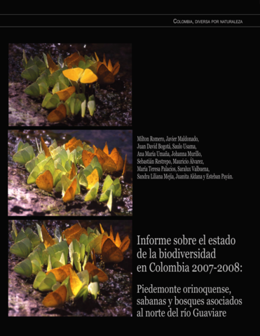 Informe sobre el estado de la biodiversidad en Colombia 2007- 2008: Piedemonte Orinoquense, sabanas y bosques asociados al norte del río Guaviare