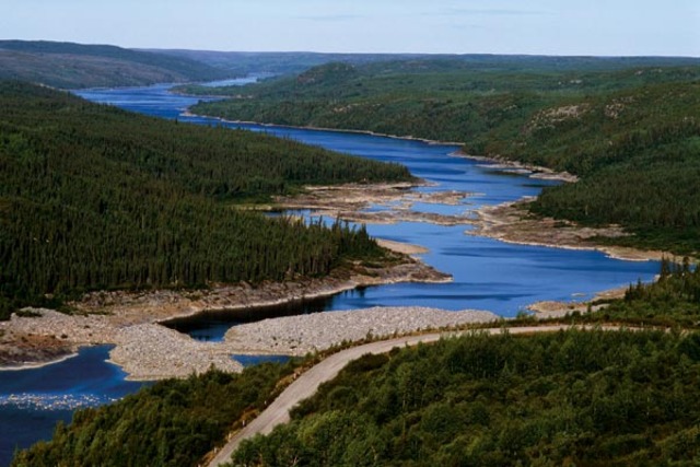 Father Releases Statement