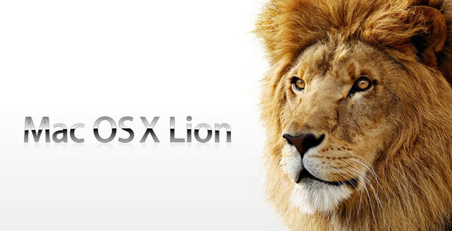 10.7 Lion