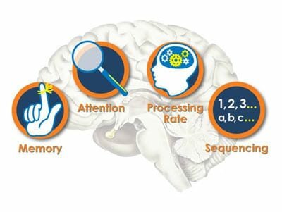 1879. Psicoanálisis de la Voluntad