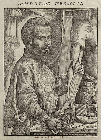 Vesalius