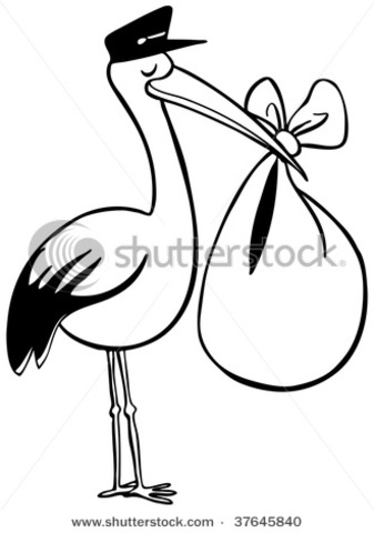 Born in Burnsville, MN