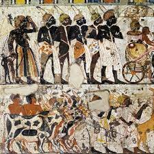 Egypt Conquers Kush, Africa