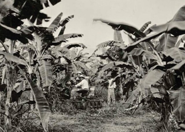 Masacre de las Bananeras.