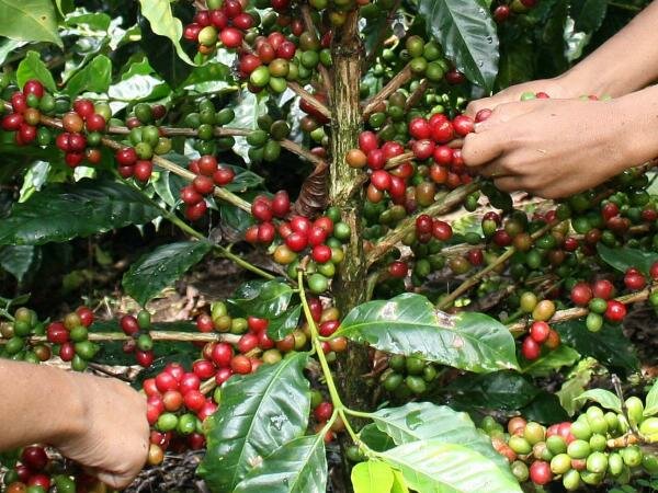 Los cambios después del conflicto