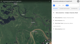 Timeline: Selva amazónica