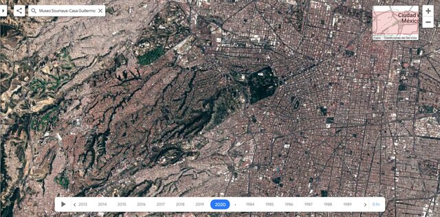 Bosque de Chapultepec 2020