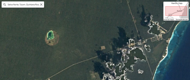 Selva Norte, Tulum, Quintana Roo, México - 1985