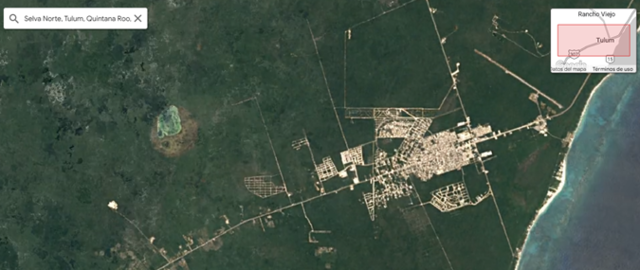 Selva Norte, Tulum, Quintana Roo, México - 2015