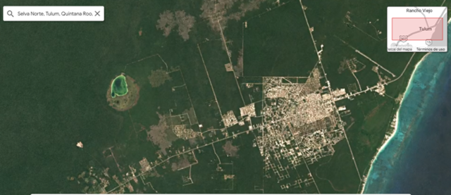 Selva Norte, Tulum, Quintana Roo, México - 2020