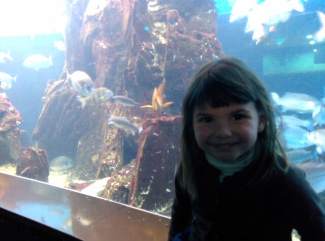 Vaig al Aquarium🐡🐠🐟🦞🦑