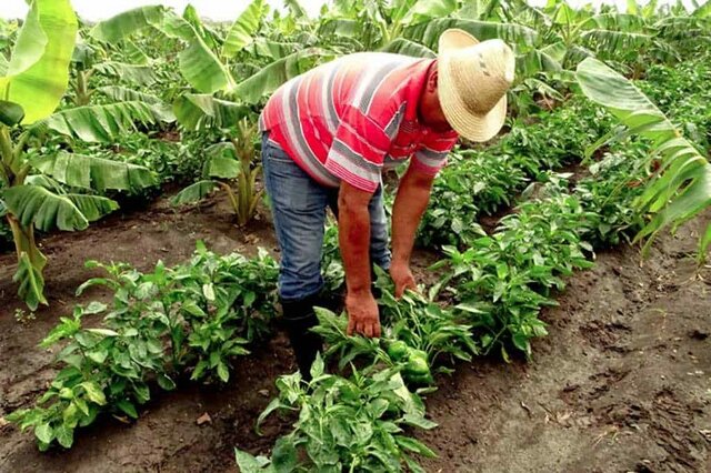 Resolución 796 de 2020 en Colombia