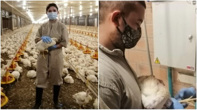 Resolución 773 de 2020 en Colombia