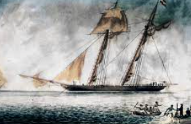 (3) Amistad Decision