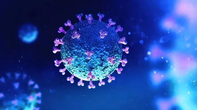 El coronavirus