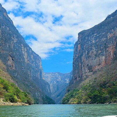 Timeline: Efectos de la globalización