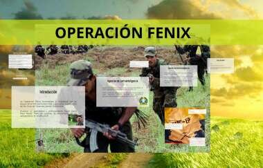 Operación fénix