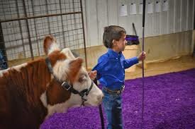 Uses "what do, what does, what did" questions