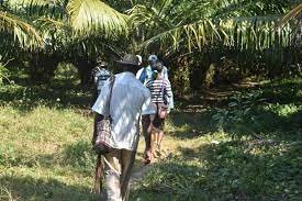 Hechos relevantes sobre la violencia en Colombia