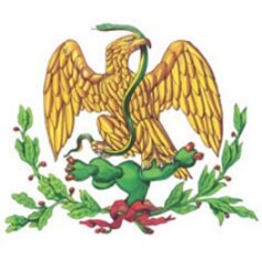 Escudo después de la caída