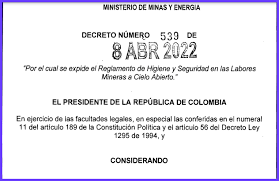 Decreto 539 del 2022