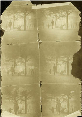 Leisurely Pedestrians, Open Topped Buses and Hansom Cabs with Trotting Horses