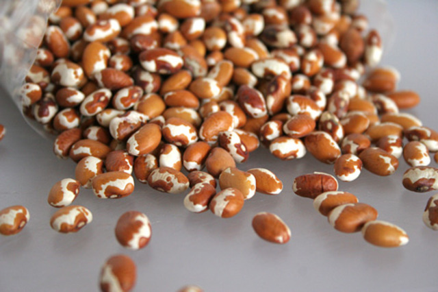 El Lanzamiento de Algo Nuevo