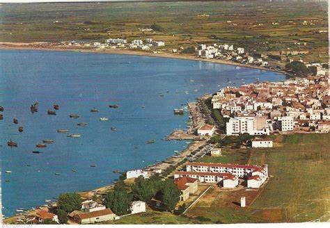 My grandmother knows my Dutch grandfather.