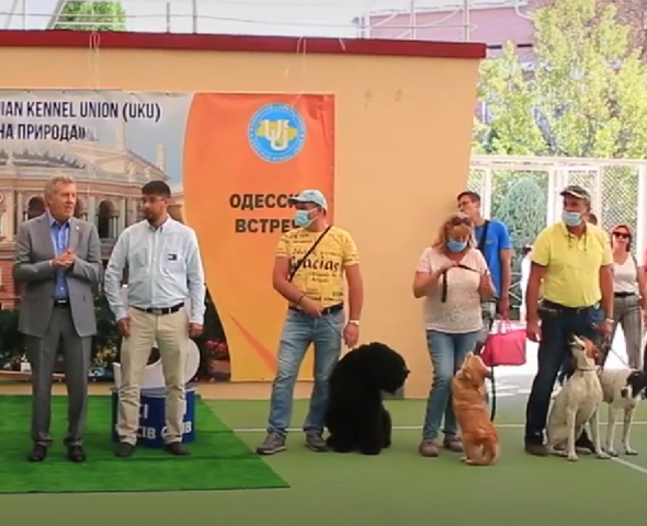 International dog show