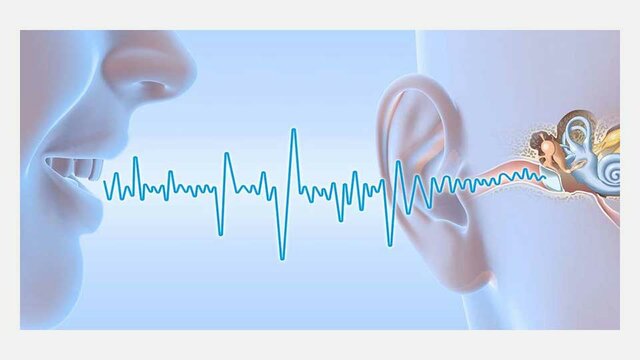 Protección y Conservación de la Audición