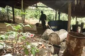 Presencia del Estado