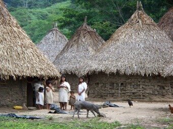 ley 715 de 2001 Art. 38