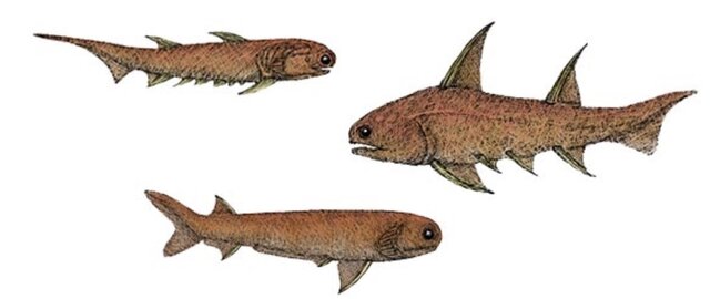The Silurian Period (443.7 to 416.0 million years ago)