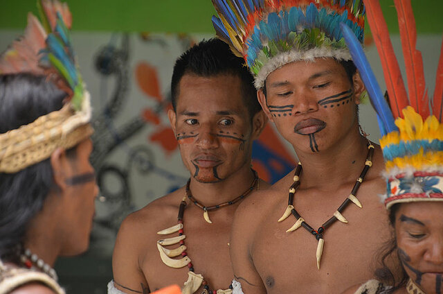 Población indígena