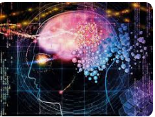 Los rasgos más generales de cada humanismo.